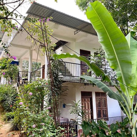 Mama Cottage إيلا المظهر الخارجي الصورة