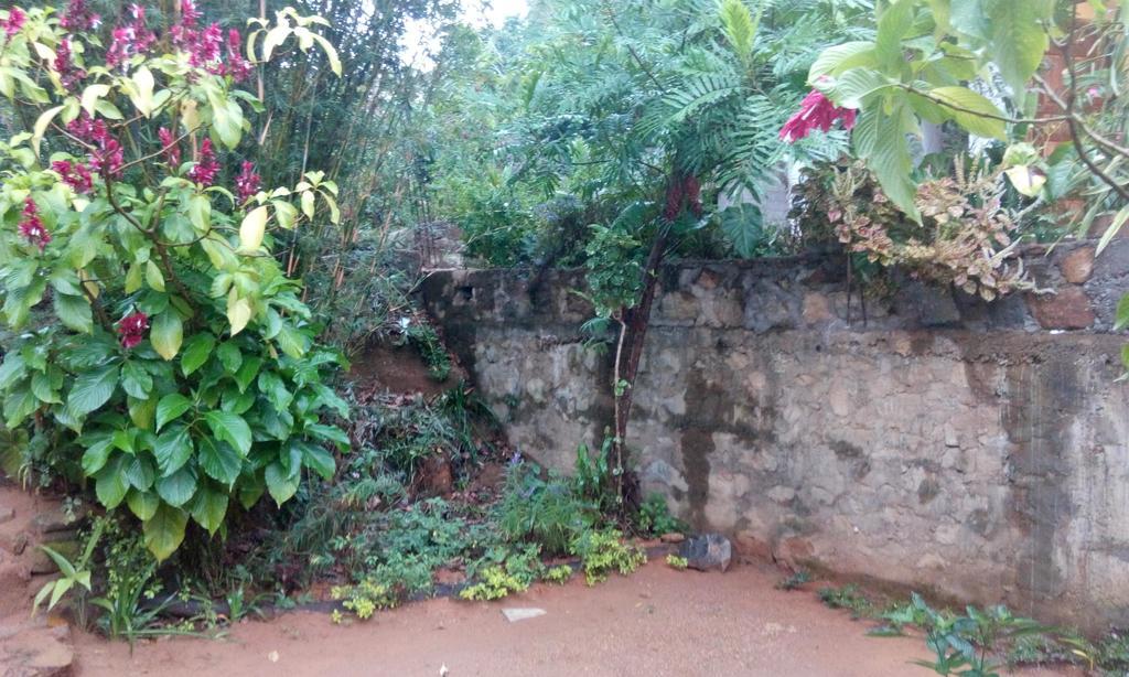 Mama Cottage إيلا المظهر الخارجي الصورة